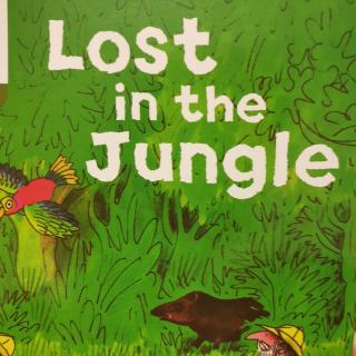 L7 Lost in the jungle