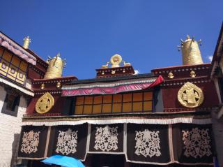 依偎在大昭寺广场晒太阳——大冰