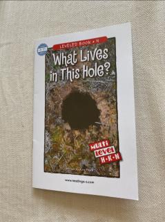 What lives in this hole?
