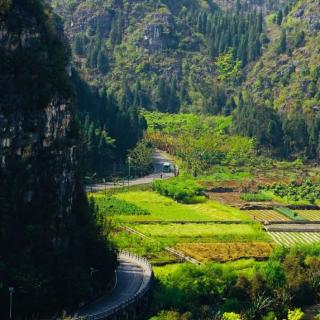 山路 席慕容图片