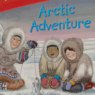 Arctic Adventure