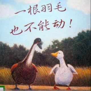 雅星大班好书推荐—《一根羽毛都不能动》分享者：马俊熙、张文浩