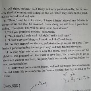 美国原版经典语文课文：Harry And Annie (英汉双语)