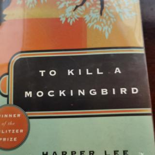 To Kill a Mockingbird  P1~11
