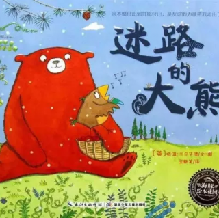 迷路的大熊🐻