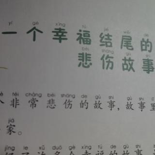 《一个幸福结尾的悲伤故事》