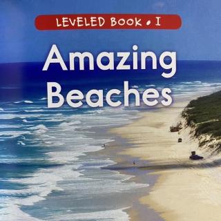 RAZ LevelI 103 - Amazing Beaches