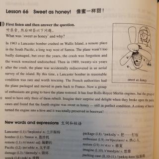 Lesson 66 Sweet as honey