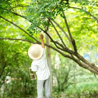 在中国，每个夏天都有自己的名字 来源：诗词世界