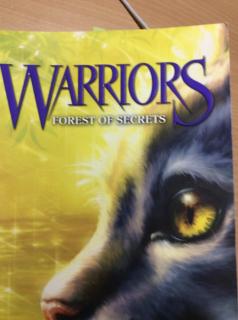 Warriors forest of secrets chapter 5