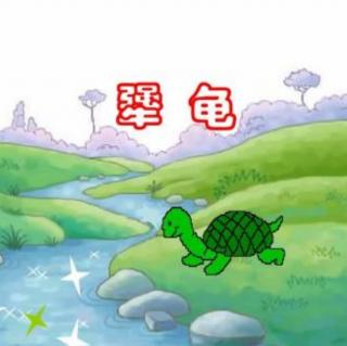 杨智童——《犟龟》