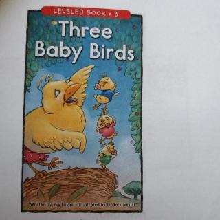 Three Baby Birds