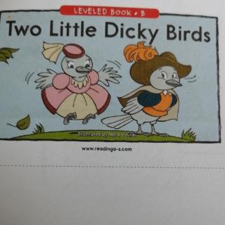 Two Little Dicky Birds