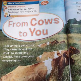 From cows to you210701