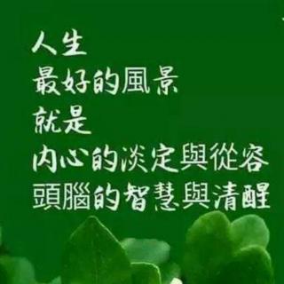 半棵树