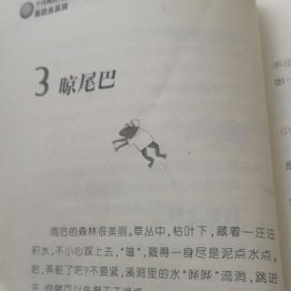 笨狼的故事20—32页