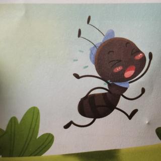 蚂蚁搬西瓜