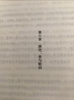 第六章           演化、业与轮回（上）