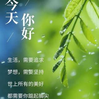 正如正在下着的雨，远方却是晴天