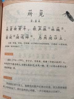 古诗《所见》清  袁枚