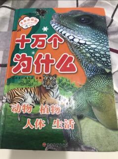 7月3日阅读十万个为什么