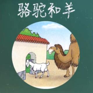 宝宝睡前故事――骆驼和羊