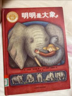 明明是大象🐘