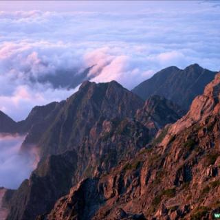 《一首诗，取代了一座大山》史蒂文斯