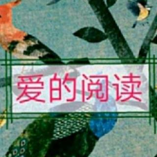 爱的阅读296（接受平凡）