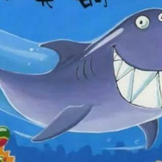 大鲨鱼笑笑🐠