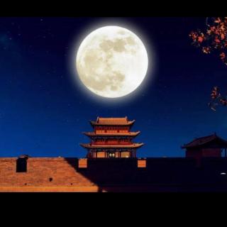 《月光下的中国》冬梅