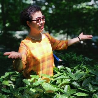 九月菊香《野菊花》诵读琴姐