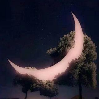 在月亮上睡觉（来自FM191382296）