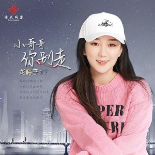 龙梅子《小哥哥你别走（DJ沈念版）》