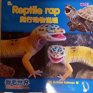 第684天打卡（Reptile rap）
