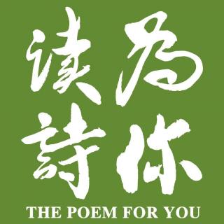 张皓宸「为你读诗」：《交谈》