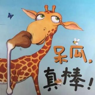 幼专金海湾幼儿园陈老师——《呆瓜，真棒》