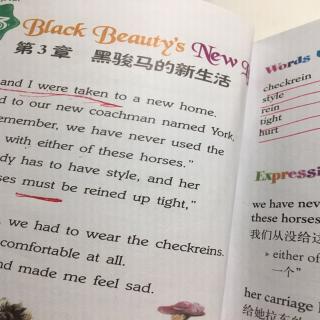 杨砚喜读《黑骏马的新生活》