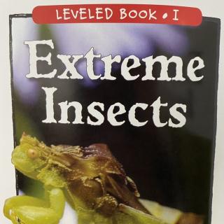 RAZ LevelI 205 -Extreme Insects