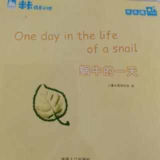 第229本绘本故事《蜗牛的一天》