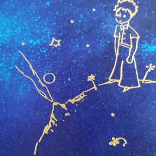 The Little Prince16