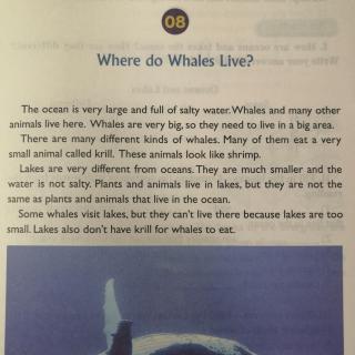 08 Where Do Whales Live?