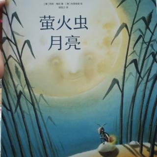 萤火虫月亮