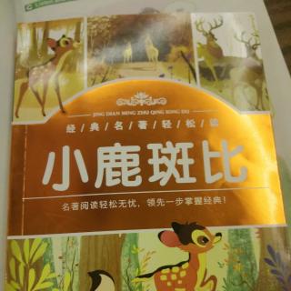 郭宝宝讲故事之《小鹿斑比之第八章🦌🦌》