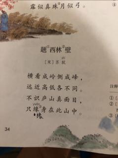 古诗《题西林壁》（宋）苏轼