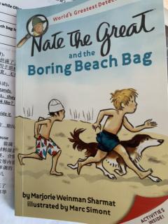 Nate the great and the boring beach bag Day6 Felix