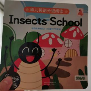 Insects School