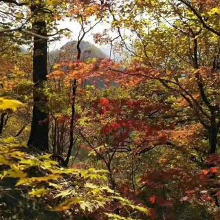 袁海生《走在旷野》外一首