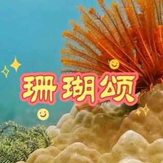 竹子翻唱《珊瑚颂》