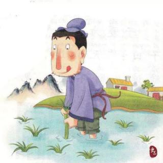 故事:拔苗助长